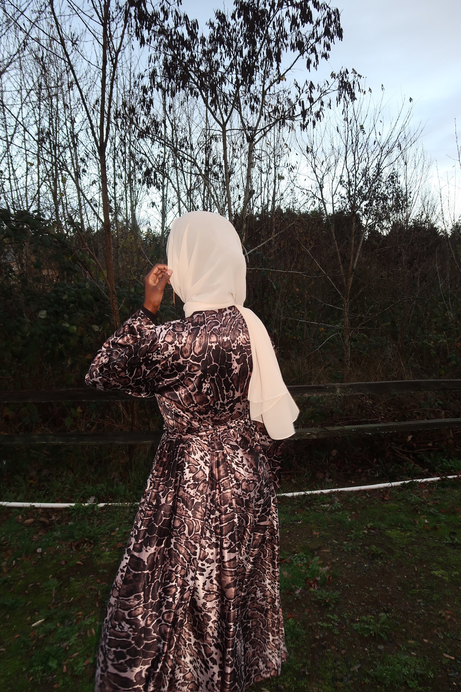 Ladan
